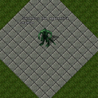 apprenticelizardmanshaman.png