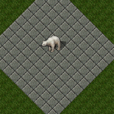 polarbear.png