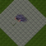 antlion.png