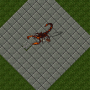 blisteringscorpion.png