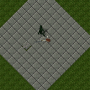 bramblewraith.png