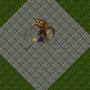 chimera.png