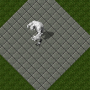 crazedicetroll.png