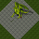 Dragon Dragon