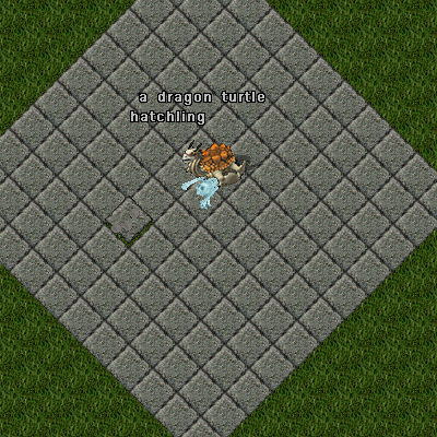 dragonturtlehatchling.png