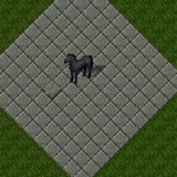 Embermare Embermare