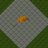 Fire Beetle Fire Beetle