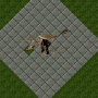 fungalidsporelock.png