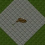 giantcopperhead.png