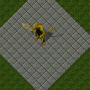 lizardmanshaman.png