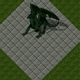 Moss Dragon Moss Dragon