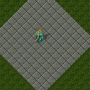 nagaraider.png