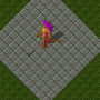 nagasorceress.png