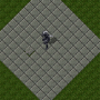 nasusminion.png