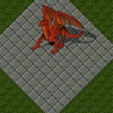 New Dragon New Dragon