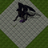 Obsidian Dragon Obsidian Dragon