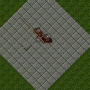 ophidianwarrior.png