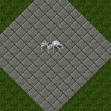 Permafrost Spider Permafrost Spider