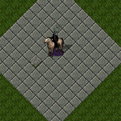 randomhuman.png