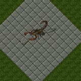Scorpion Scorpion