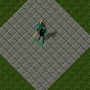 skelt.png