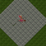 sporeling.png