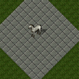 Stygian Stallion Stygian Stallion