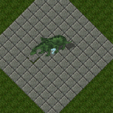 Swamp Dragon Swamp Dragon