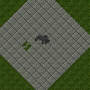 trapdoorspider.png
