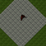 Vampire Mongbat Vampire Mongbat
