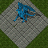 Water Dragon Water Dragon