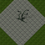 whippingvine.png