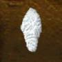 cocoon.jpg
