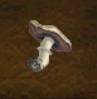 festerhivesshroom3.jpg