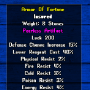 armor_of_fortune.png
