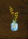 rareplant.jpg