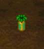 rareplant4.jpg