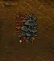 shroom.jpg