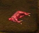 skinneddeer.jpg