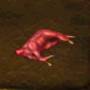 skinneddeer.jpg
