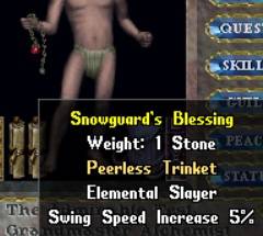 snowguardsblessing.jpg